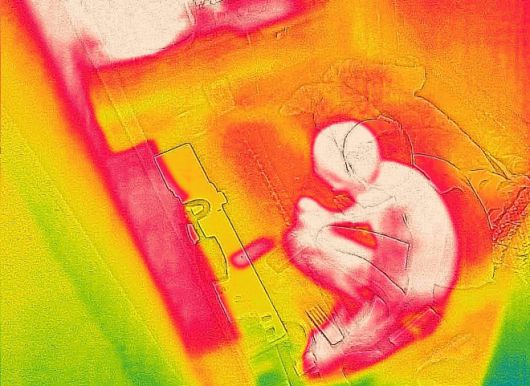 폭염이 이어지고 있는 지난 9일 서울 종로구 쪽방촌에서 더위를 피하고 있는 한 주민을 열화상 카메라로 촬영한 모습. 온도가 높은 곳은 붉게, 낮은 곳은 푸르게 표시돼 있다. 연합뉴스