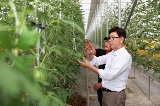 김철우 보성군수가 농가를 찾아 폭염 속 농작물 상태를 확인하고 있다.