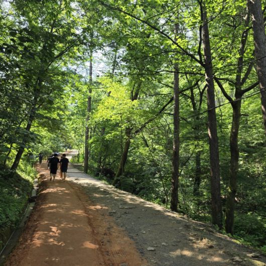 계족산 황톳길을 걷는 사람들