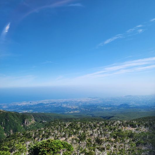 한라산에서 바라보는 제주 시내 풍경