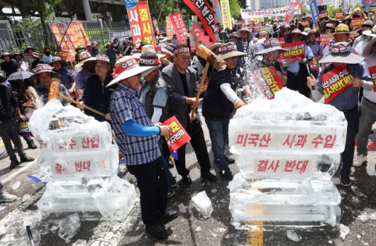 ‘미국산 사과 수입 결사 반대’ 얼음 깨기 - 한국사과연합회, 한국과수농협연합회 등 소속 농민들이 31일 정부세종청사 산업통상자원부 앞에서 열린 ‘미국산 사과 수입 반대 국민대회’에서 미국산 사과 수입을 결사 반대한다는 얼음 깨기 퍼포먼스를 펼치고 있다. 2025.7.31. 연합뉴스