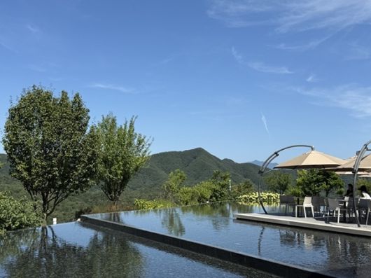 안도 다다오는 한국 산의 곡선과 주변의 고요가 그 자체로 하나의 작품이 될 수 있다고 느꼈다고 말했다.