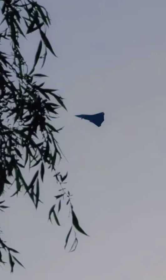 중국 온라인에 올라온 스텔스 항공기 실루엣. 나뭇잎 너머로 포착된 기체는 삼각형 형태의 날개 구조를 갖추고 있으며 유인기보다는 드론에 가까운 형상이라는 분석이 나온다. 출처=워존·엑스