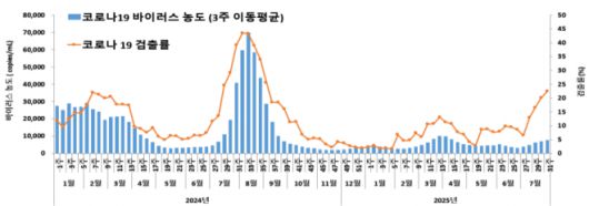 코로나19 바이러스 검출률 및 하수 감시 현황(‘24년 1주～25년 31주) - 질병관리청 제공