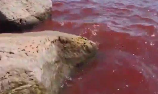 이스라엘 북부에 위치한 성경 속 갈릴리 호수가 최근 붉게 물들어 현지 주민과 관광객들 사이에서 “종말의 징조”라며 공포가 확산하고 있다. 이스라엘 자연 및 공원 관리청