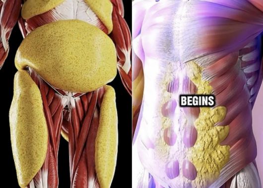 24시간 단식하는 동안 몸 속에서 일어나는 일을 시각화한 영상이 화제다. 유튜브 채널 ‘GrowFit Health’ 영상 캡처