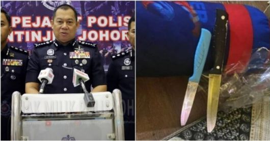 이번 사건을 계기로 말레이시아 정부는 온라인 게임에 대한 아동 이용자 안전 지침을 마련할 방침이다. Bernama