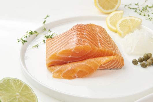 연어 자료 사진. 아이클릭아트