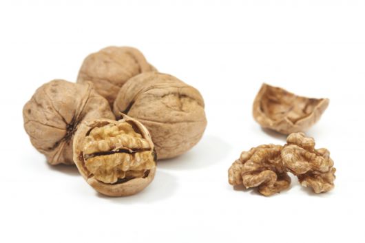 호두 자료 사진. 아이클릭아트