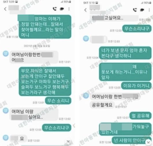 양모 씨가 장모에게 보낸 메시지. 대한아동방지협회