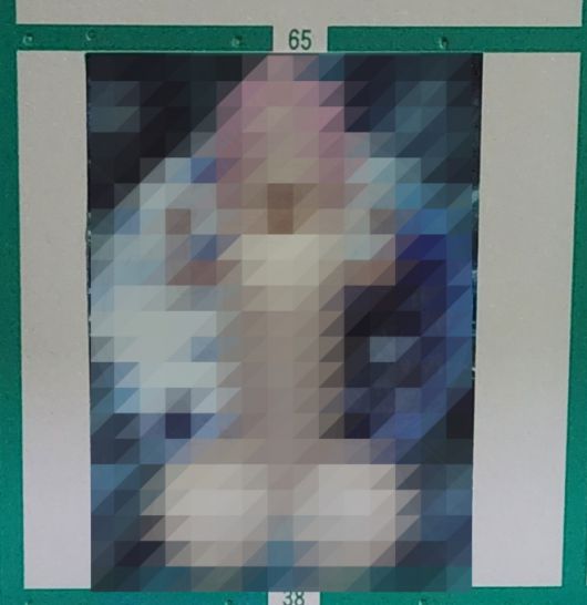 지난 9일 치러진 도쿄도 가쓰시카구의회 선거 기간 중 남성 성기를 본뜬 듯한 후보자의 선거 포스터(사진)가 구내 선거 벽보판 48곳에 게시됐다. 엑스(X) 캡처