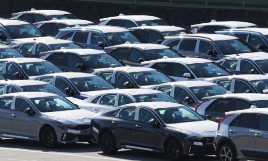 14일 경기도 평택항에 수출용 자동차가 세워져 있는 모습. 2025.11.14 연합뉴스