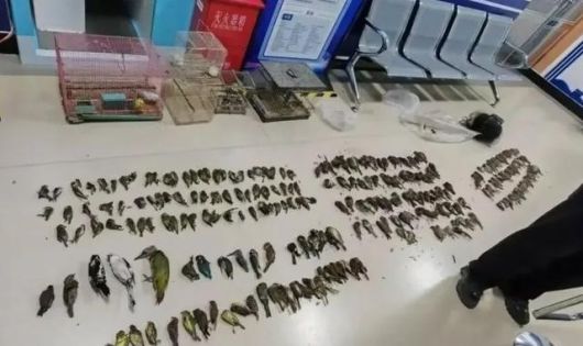 중국 신민시 공안국 환경·식약품 범죄 수사대 제공