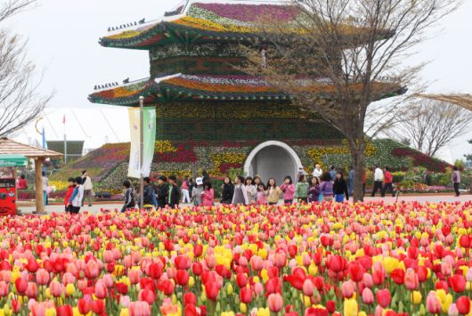 꽃지해안공원에서 2009년 개최된 ‘안면도 꽃박람회’를 찾은 시민들이 만개한 튤립을 감상하고 있다. 박람회 조직위원회 제공