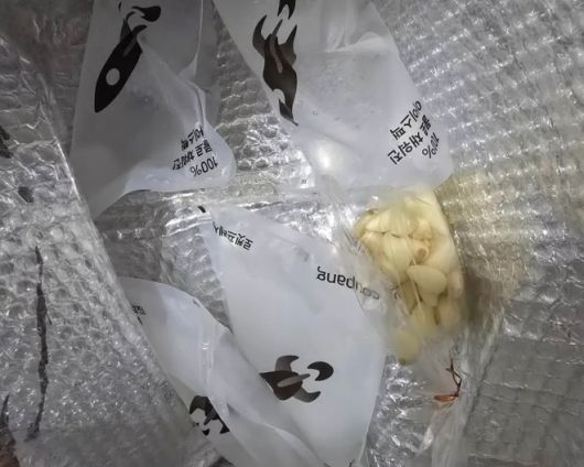 쿠팡의 과대포장 문제가 또 다시 도마 위에 올랐다. 사진은 한 누리꾼이 “로켓프레시 박스로 받기 했다가 8박스가 문 앞에 있었다”며 “문제는 박스 크기도 큰데 아이스팩도 하나씩 들어 있는 것도 아니고 여러 개 들어 있었다”고 지적하며 올린 사진. 스레드 캡처