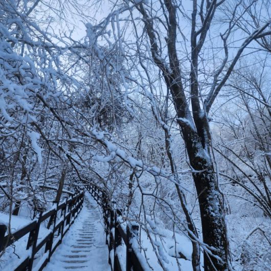 눈꽃핀 민주지산의 등산길