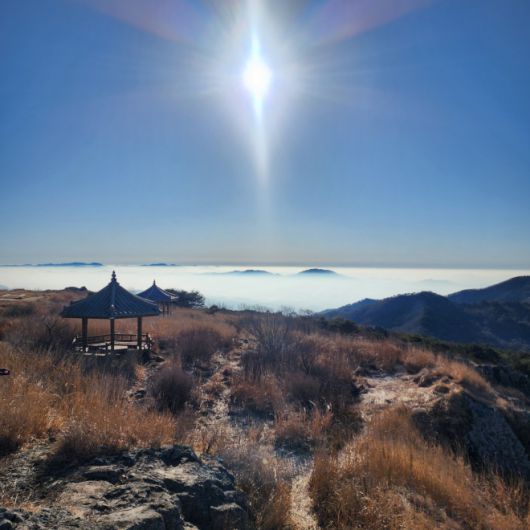 비슬산 천왕봉 정자와 억새군락지