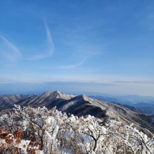 민주지산 능선길 풍경
