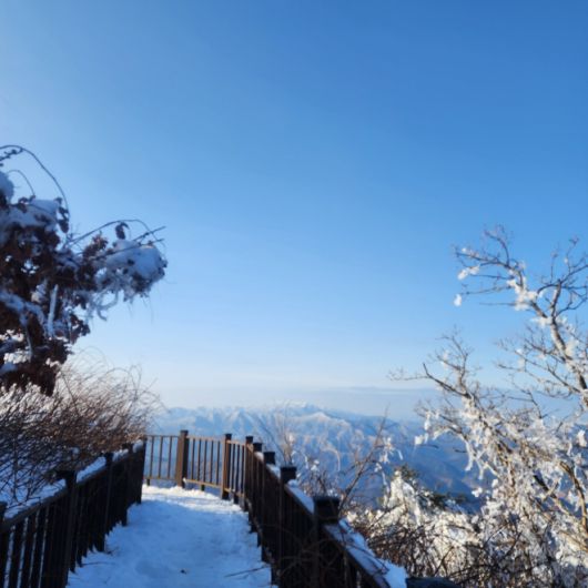 겨울철 민주지산 등산길 풍경