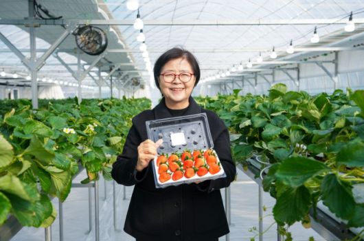 이순희 강북구청장. 강북구 제공