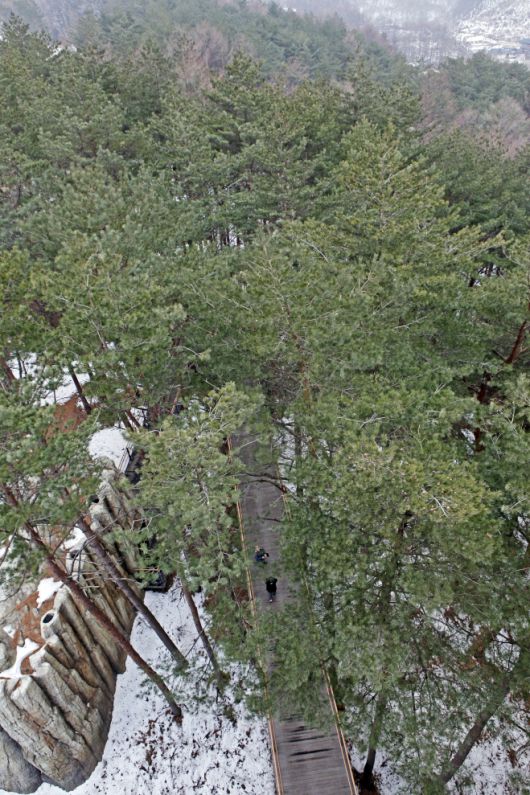 태백산 하늘전망대에서 내려다본 전망대 진입로와 동굴영상관의 모습. 초록뿔언덕 제공