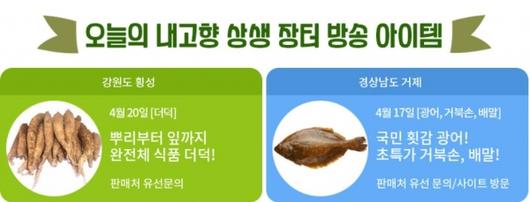 문화뉴스