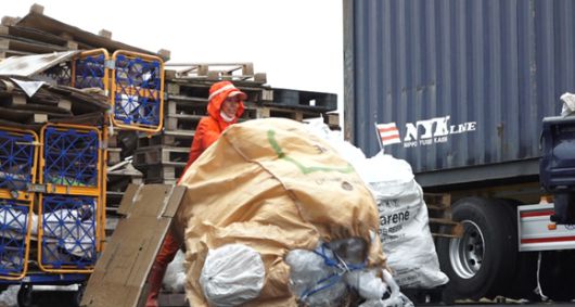 출처 인간극장​​​​​​​[KBS 인간극장] 꽃보다 아름다운 '고물로드' 걷는 고물상의 최연소 고물장수 이야기