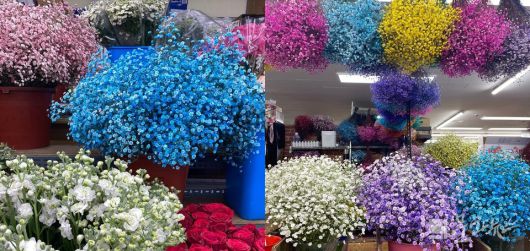 사진=문화뉴스DB