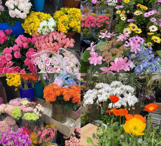 사진=문화뉴스DB