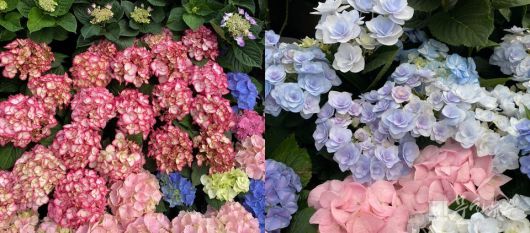 사진=문화뉴스DB