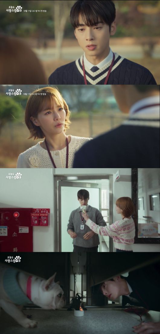 ​'오늘도 사랑스럽개'... 원작, 줄거리, 등장인물, 인물관계도 정리 / 사진 = MBC '오늘도 사랑스럽개' 하이라이트 캡처