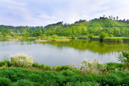 순천만국가정원의 비오톱습지. / 사진=순천시 제공