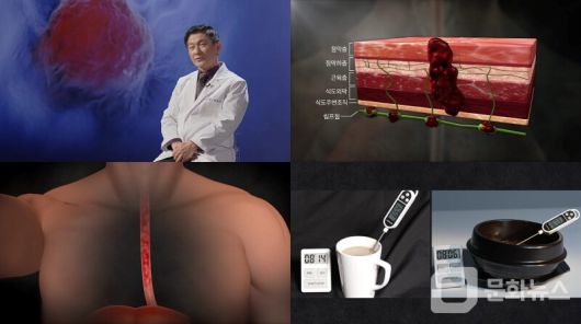 문화뉴스