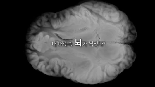 문화뉴스
