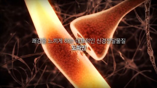 문화뉴스