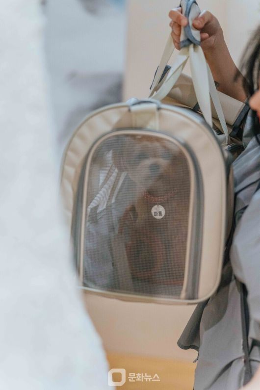 반려동물 동반 문화 나들이 / 사진제공=국립아시아문화전당