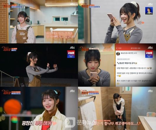 JTBC 채널에서 매주 일요일 오전 10시 30분 '집 나가면 개호강'이 방영된다. 사진제공=JTBC '집 나가면 개호강' 방송 캡처