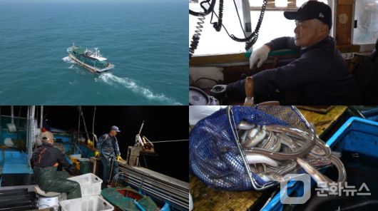 EBS '극한직업', 거제도 '1박 3식 민박과 장어잡이' 편/사진제공=EBS