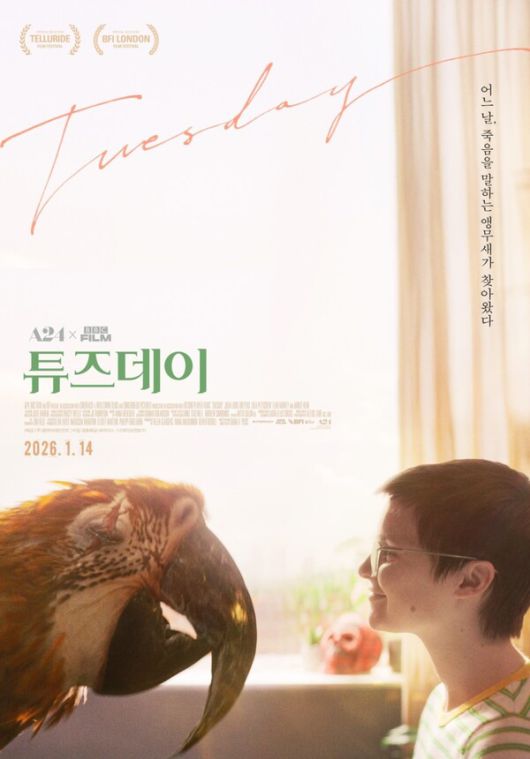 [이번주 개봉예정영화] 권상우X문채원의 로코부터 네온 느와르까지...'하트맨', '보이', '송 썽 블루' / 사진=(주)팝엔터테인먼트