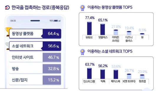 '2025년도 대한민국 국가이미지' 조사./문화체육관광부 제공