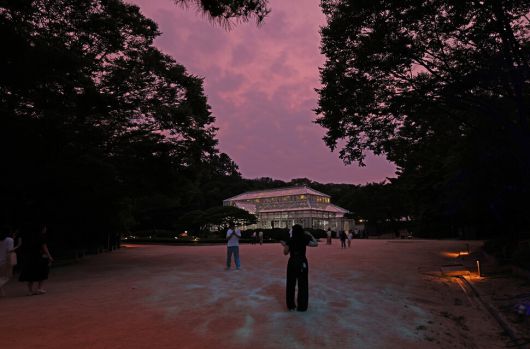 물빛연화의 제4경 조화의 빛 (대온실) 모습. 창경궁 대온실은 서양식 건축 양식으로 설계된 한국 최초의 온실로 1909년 지어졌다. 일제가 순종을 창덕궁에 유폐시킨 뒤, 왕을 위로한다는 명목으로 동물원과 함께 건립했다. 2004년에 복원되어 원래 모습을 그대로 유지한 채 일반 시민에게 개방됐다. 이곳은 근대 건축의 선진성과 더불어 제국주의 문화침탈의 비극을 동시에 보여주는 역사적 시설이다.