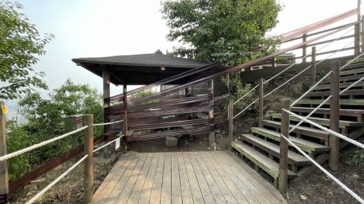 2025년 7월6일 인천 계양구 계양산 등산로에 설치된 끈끈이롤트랩. 이 트랩엔 러브버그 외 다른 다양한 곤충까지 붙어 피해를 입었다. 새 깃털이 뽑힌 흔적도 확인됐다. 봉산생태조사단 제공