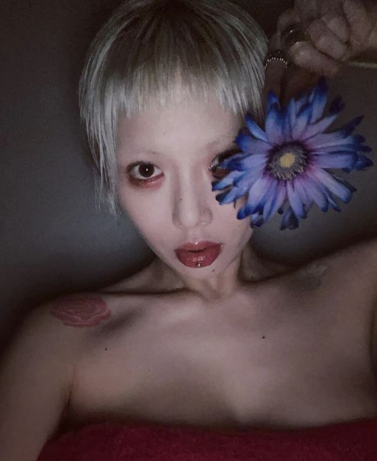 스포티비뉴스