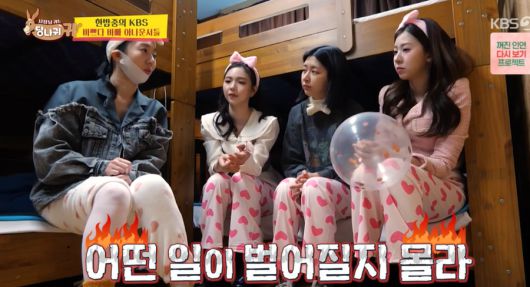 스포티비뉴스