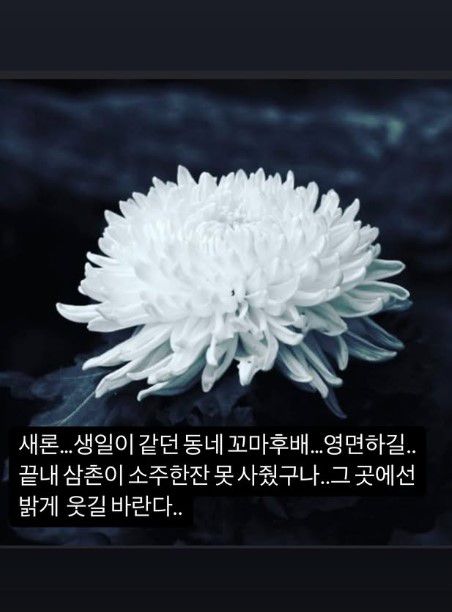 엑스포츠뉴스
