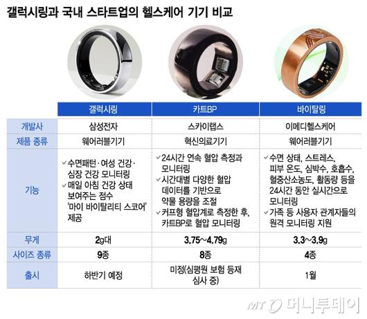 머니투데이