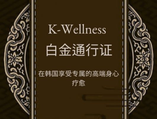 사진은 서울 마포구 한 한옥 스파의 외국어 홍보 이미지./사진='더 설하' 인스타그램 캡처.