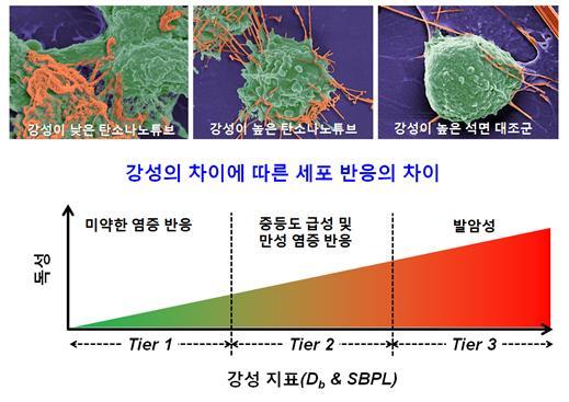 머니투데이