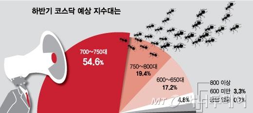 머니투데이