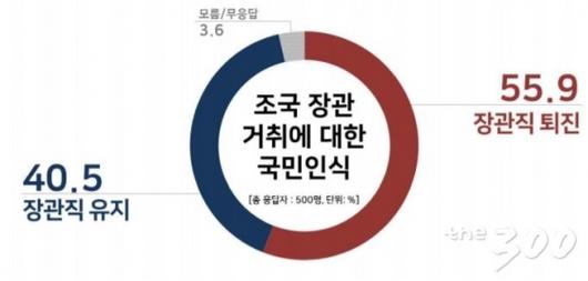 머니투데이